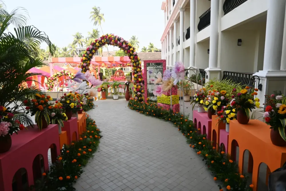 DSC 0971